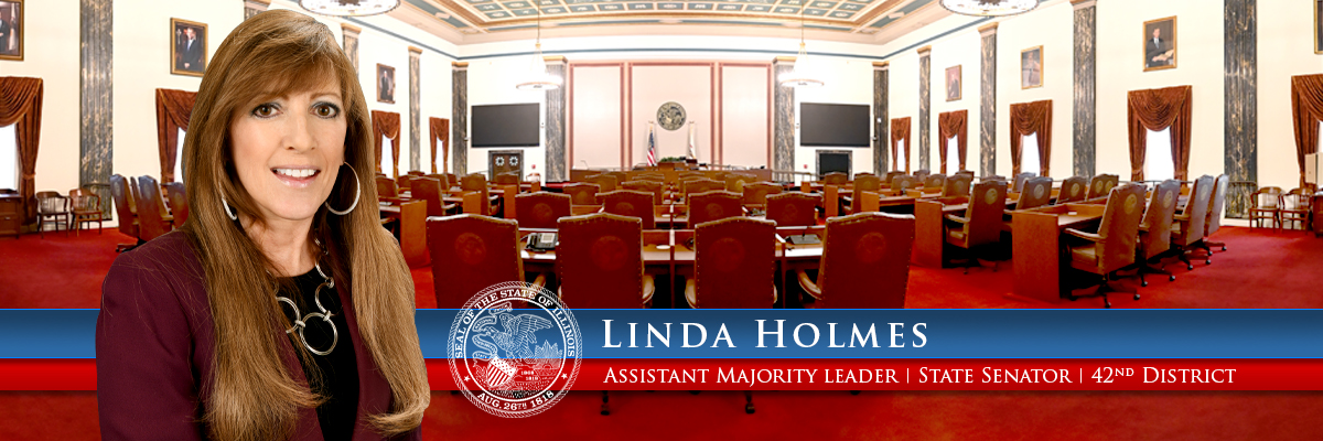Illinois State Senator Linda Holmes
