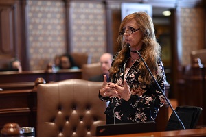 Sen. Holmes defends funding for domestic violence shelter